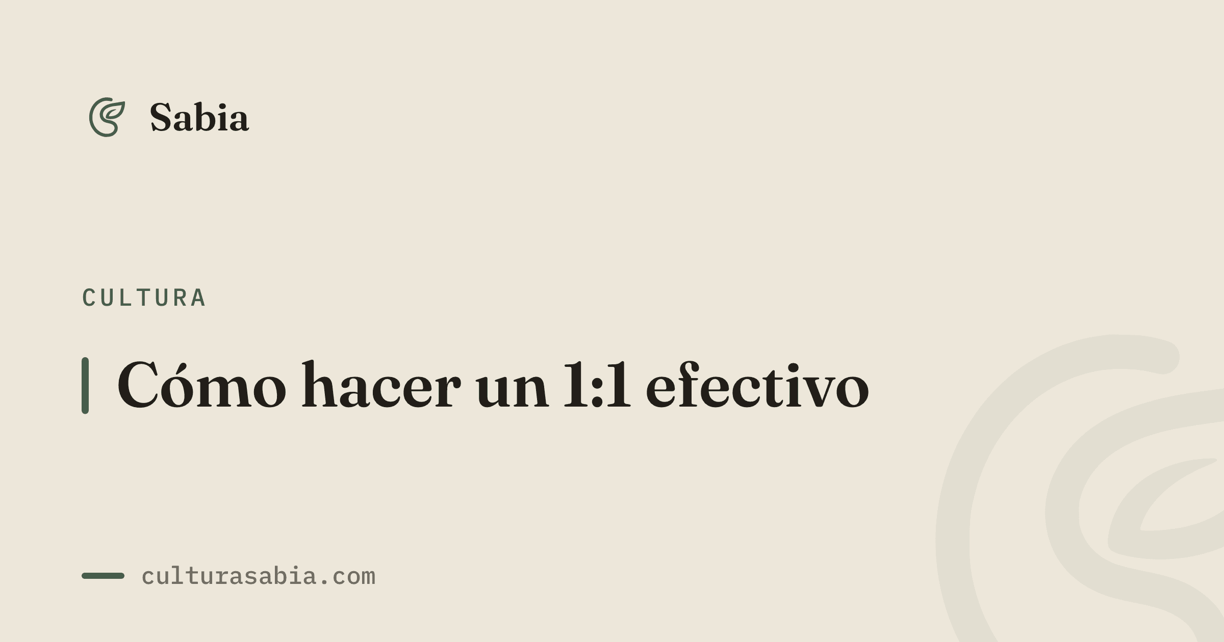 Cómo hacer un 1:1 efectivo
